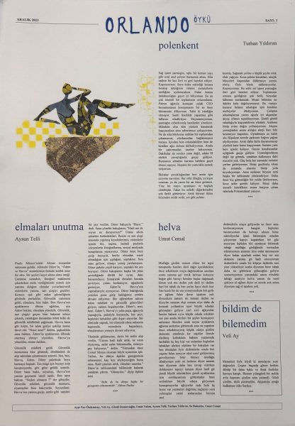 Read more about the article ORLANDO ÖYKÜ